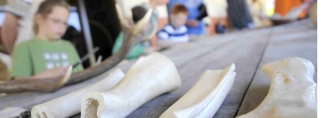 Kinder lernten unter anderem beim römischen Wochenende im LVR-Archäologischen Park, wie man mit Knochen schnitzt. Foto: Ute Gabriel