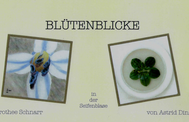 Blütenblicke